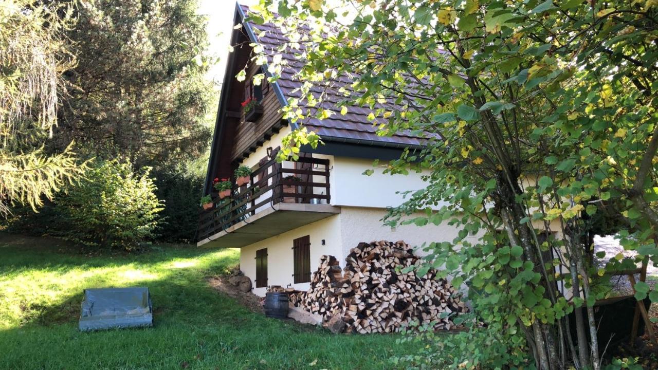 Villa Chalet Le Cerf Wildersbach Exterior foto